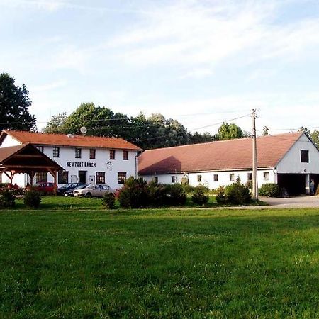 Staj Newport Hotel Dolni Domaslavice Exterior photo